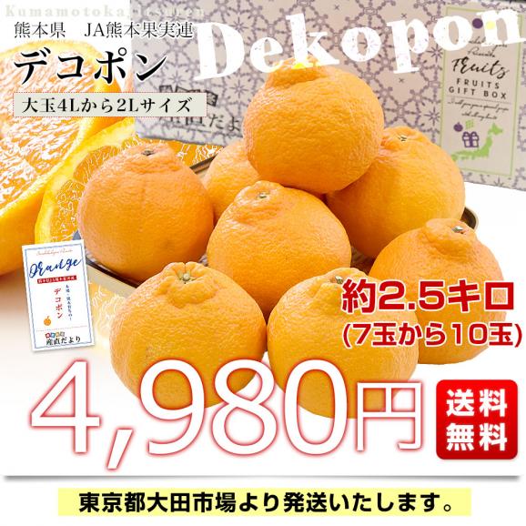 熊本県産 JA熊本果実連 デコポン 2.5キロ 4Lから2Lサイズ (7玉から10玉) 送料無料 でこぽん デコぽん 柑橘03