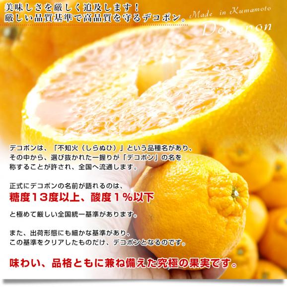 熊本県産 JA熊本果実連 デコポン 2.5キロ 4Lから2Lサイズ (7玉から10玉) 送料無料 でこぽん デコぽん 柑橘05