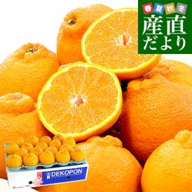 熊本県産 JA熊本果実連 デコポン 5キロ 4Lから2Lサイズ (15玉から20玉) 送料無料 でこぽん デコぽん 柑橘
