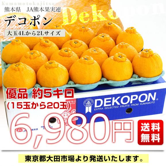 熊本県産 JA熊本果実連 デコポン 優品 5キロ 4Lから2Lサイズ (15玉から20玉) 送料無料 でこぽん デコぽん 柑橘03