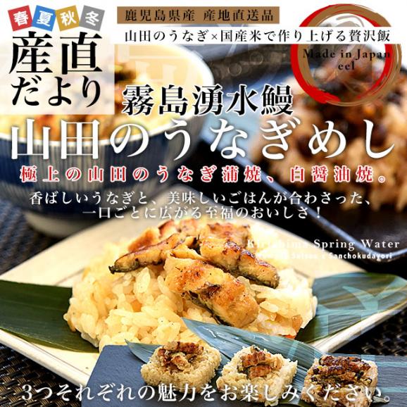 鹿児島県志布志産 山田水産 山田のうなぎめし6食セット 3種×各2食 （うなぎおこわ、うなぎちらし寿司、うなぎ赤飯） 霧島湧水鰻使用 送料無料 鰻 ウナギ 鰻師 加藤尚武さん02