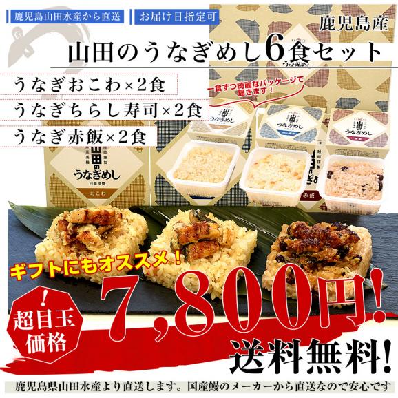 鹿児島県志布志産 山田水産 山田のうなぎめし6食セット 3種×各2食 （うなぎおこわ、うなぎちらし寿司、うなぎ赤飯） 霧島湧水鰻使用 送料無料 鰻 ウナギ 鰻師 加藤尚武さん03