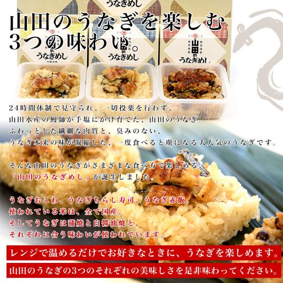 鹿児島県志布志産 山田水産 山田のうなぎめし6食セット 3種×各2食 （うなぎおこわ、うなぎちらし寿司、うなぎ赤飯） 霧島湧水鰻使用 送料無料 鰻 ウナギ 鰻師 加藤尚武さん04