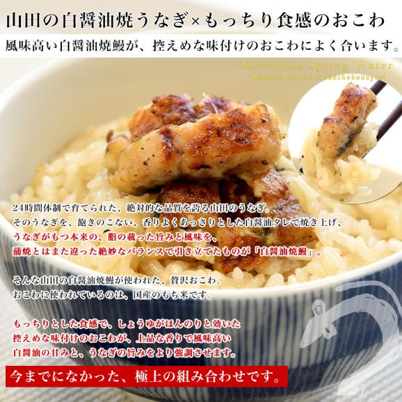 鹿児島県志布志産 山田水産 山田のうなぎめし6食セット 3種×各2食 （うなぎおこわ、うなぎちらし寿司、うなぎ赤飯） 霧島湧水鰻使用 送料無料 鰻 ウナギ 鰻師 加藤尚武さん05
