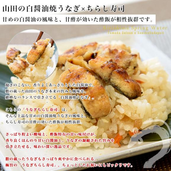 鹿児島県志布志産 山田水産 山田のうなぎめし6食セット 3種×各2食 （うなぎおこわ、うなぎちらし寿司、うなぎ赤飯） 霧島湧水鰻使用 送料無料 鰻 ウナギ 鰻師 加藤尚武さん06