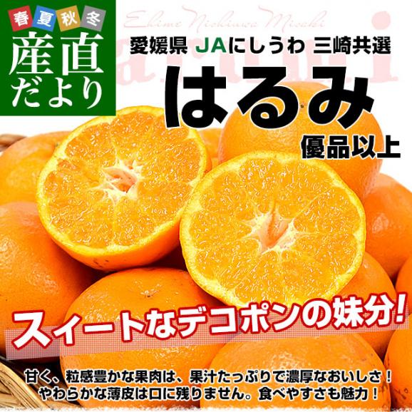 愛媛県 JAにしうわ 三崎共選 はるみ 優品以上 約2.5キロ2LからSサイズ (10玉から22玉前後）送料無料 柑橘 オレンジ ハルミ 西宇和02