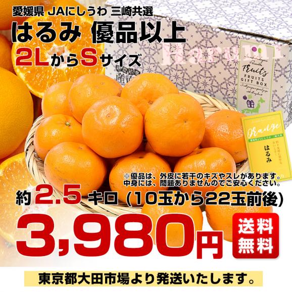 愛媛県 JAにしうわ 三崎共選 はるみ 優品以上 約2.5キロ2LからSサイズ (10玉から22玉前後）送料無料 柑橘 オレンジ ハルミ 西宇和03