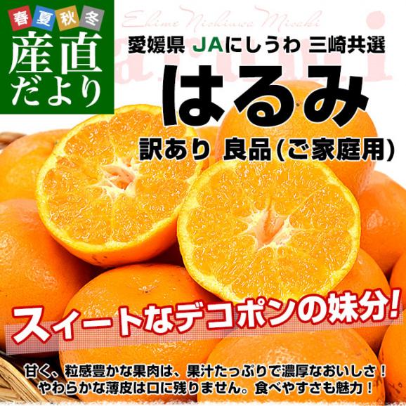 愛媛県 JAにしうわ 三崎共選 訳あり はるみ 良品(ご家庭用) 約5キロ2LからSサイズ (20玉から45玉前後）送料無料 柑橘 オレンジ ハルミ 西宇和02