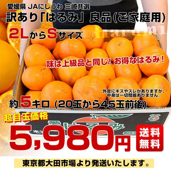 愛媛県 JAにしうわ 三崎共選 訳あり はるみ 良品(ご家庭用) 約5キロ2LからSサイズ (20玉から45玉前後）送料無料 柑橘 オレンジ ハルミ 西宇和03