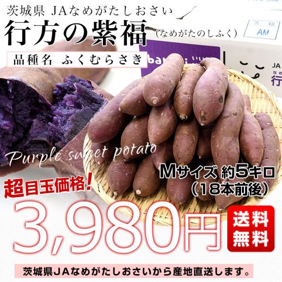 茨城県より産地直送 JAなめがたしおさい 行方の紫福（なめがたの