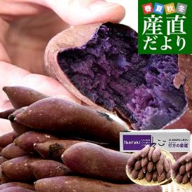 凄い新芋が登場！濃い紫色！衝撃的な甘さ！最高の食味です
