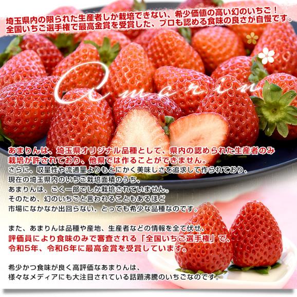 埼玉県産 プレミアムいちご あまりん お徳用 サイズ不揃い 約 埼玉県産 プレミアムいちご あまりん お徳用 サイズ不揃い 約