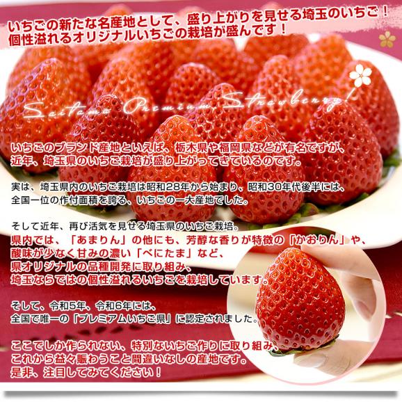 埼玉県産 プレミアムいちご あまりん お徳用 サイズ不揃い 約150g×4入（4粒から15粒前後×4入）送料無料 いちご イチゴ 苺06