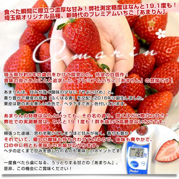 埼玉県産 プレミアムいちご あまりん ギフト向け 化粧箱 約230g×2入（7粒から12粒前後×2入）送料無料 いちご イチゴ 苺 贈答用04