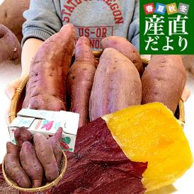 蜜たっぷり！劇的な甘さの焼き芋が食べられる！大人気さつまいも