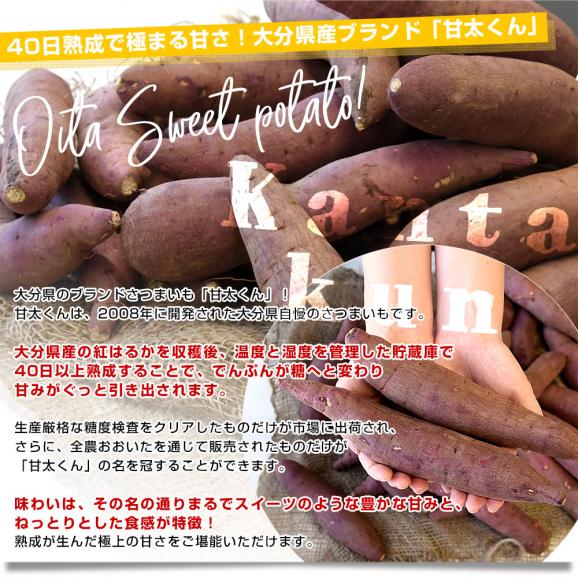 大分県産 JAおおいた 甘太くん Mサイズ 約5キロ（28本前後）送料無料 かんたくん サツマイモ 薩摩芋 甘藷 かんしょ 紅はるか べにはるか04