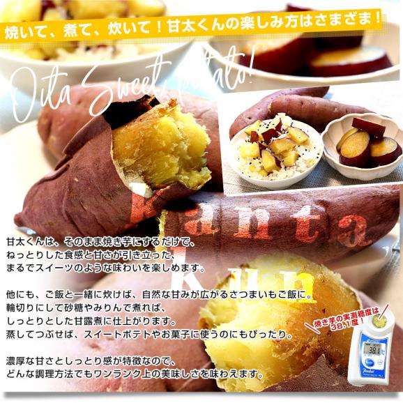 大分県産 JAおおいた 甘太くん Mサイズ 約5キロ（28本前後）送料無料 かんたくん サツマイモ 薩摩芋 甘藷 かんしょ 紅はるか べにはるか05