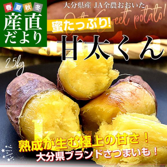 【送料無料/新品】 大分県産 JAおおいた 甘太くん Mサイズ 約2.5キロ（14本前後 野菜