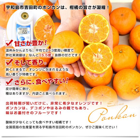 愛媛県 宇和島市吉田町 訳ありポンカン 3Lから2Lサイズ 約2.8キロ (11玉から15玉前後) 送料無料 柑橘 オレンジ ぽんかん ご家庭用 市場発送05