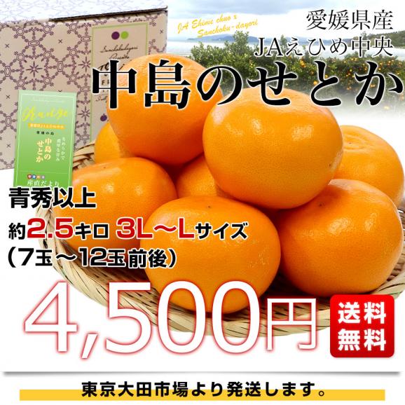  愛媛県産　JAえひめ中央　中島のせとか 青秀以上　3ＬからLサイズ　2.5キロ　 送料無料 柑橘 オレンジ 松山 愛媛中央農協03
