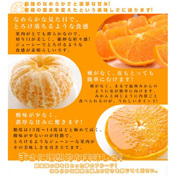  愛媛県産　JAえひめ中央　中島のせとか 青秀以上　3ＬからLサイズ　2.5キロ　 送料無料 柑橘 オレンジ 松山 愛媛中央農協04