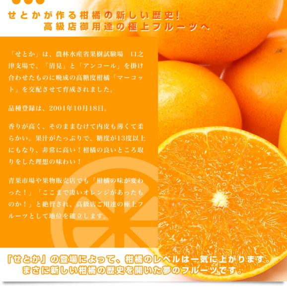  愛媛県産　JAえひめ中央　中島のせとか 青秀以上　3ＬからLサイズ　2.5キロ　 送料無料 柑橘 オレンジ 松山 愛媛中央農協05