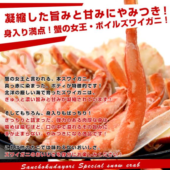 北海道から直送 北海道加工 極上ズワイガニ 800g化粧箱 ハーフカット＆ポーション仕立て 送料無料 ずわい ずわい蟹 カニ かに04