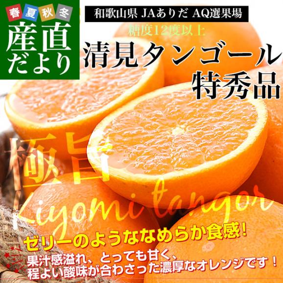 和歌山県 JAありだAQ選果場 清見タンゴール 特秀品 糖度12度以上 約3キロ 2LからMサイズ (12玉から20玉前後) 送料無料 柑橘 オレンジ02