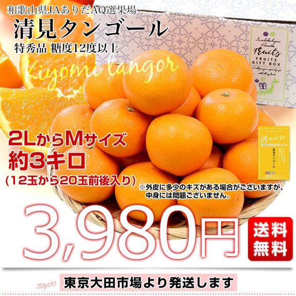 和歌山県 JAありだAQ選果場 清見タンゴール 特秀品 糖度12度以上 約3キロ 2LからMサイズ (12玉から20玉前後) 送料無料 柑橘 オレンジ03