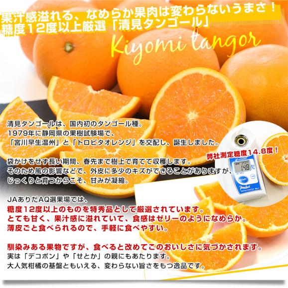 和歌山県 JAありだAQ選果場 清見タンゴール 特秀品 糖度12度以上 約3キロ 2LからMサイズ (12玉から20玉前後) 送料無料 柑橘 オレンジ05