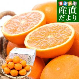 和歌山県 JAありだAQ選果場 清見タンゴール ご家庭用 約3キロ 2LからMサイズ (12玉から20玉前後) 送料無料 柑橘 オレンジ