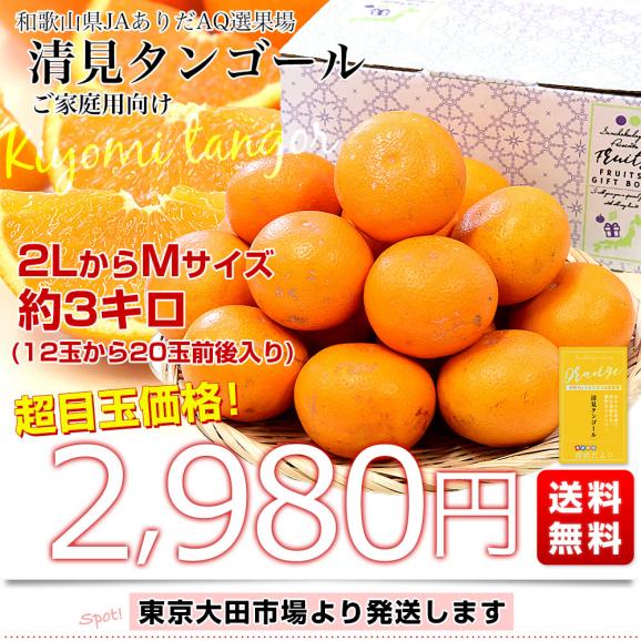 和歌山県 JAありだAQ選果場 清見タンゴール ご家庭用 約3キロ 2LからMサイズ (12玉から20玉前後) 送料無料 柑橘 オレンジ03