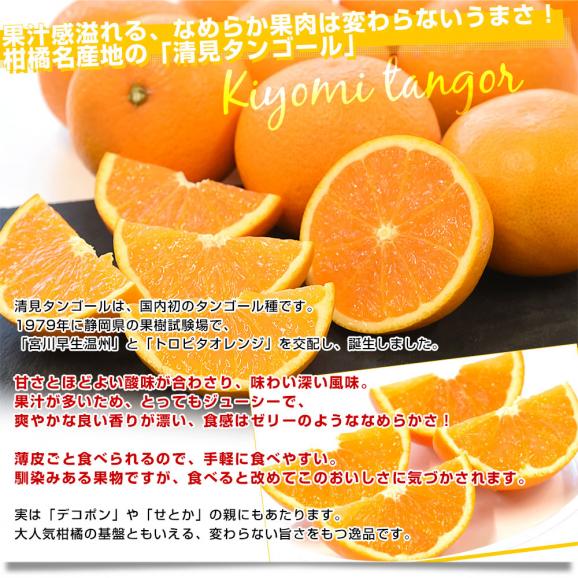 和歌山県 JAありだAQ選果場 清見タンゴール ご家庭用 約3キロ 2LからMサイズ (12玉から20玉前後) 送料無料 柑橘 オレンジ06