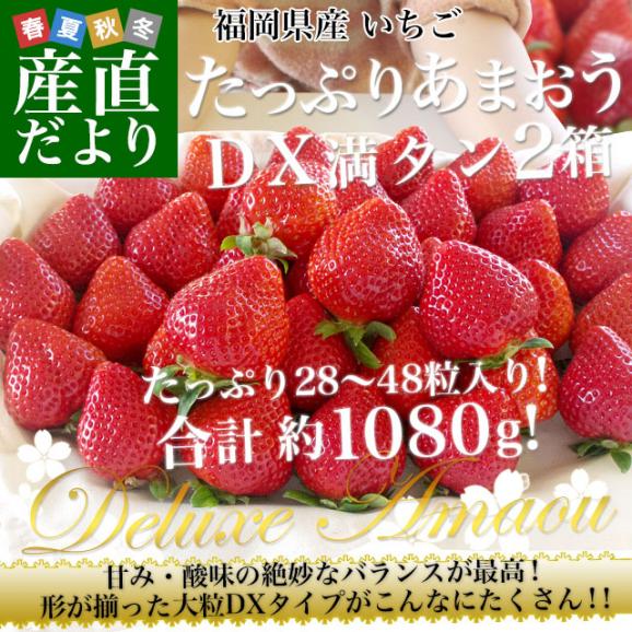 福岡県産 超盛りあまおう DX たっぷり2箱 1080g （合計28粒から48粒）（540g×2箱） 送料無料 アマオウ デラックス 農協 いちご 苺 イチゴ02