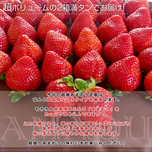 福岡県産 超盛りあまおう DX たっぷり2箱 1080g （合計28粒から48粒）（540g×2箱） 送料無料 アマオウ デラックス 農協 いちご 苺 イチゴ05