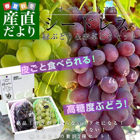 いま人気のアイテム 皮ごと食べられる！高糖度！シードレス緑ぶどう＆赤ぶどうセット 果物