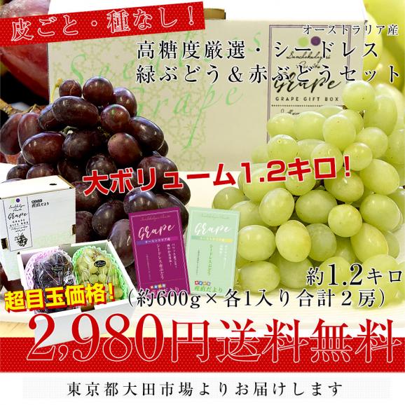 皮ごと食べられる！高糖度！シードレス緑ぶどう＆赤ぶどうセット