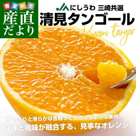 愛媛県産 JAにしうわ三崎共選 清見タンゴール 良品以上 2LからＬサイズ 約3キロ (12玉から16玉前後) 送料無料 柑橘 オレンジ 西宇和 02