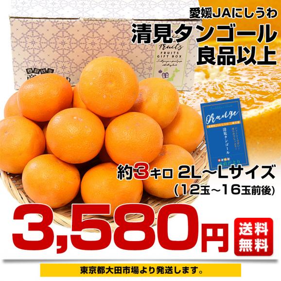 愛媛県産 JAにしうわ三崎共選 清見タンゴール 良品以上 2LからＬサイズ 約3キロ (12玉から16玉前後) 送料無料 柑橘 オレンジ 西宇和 03