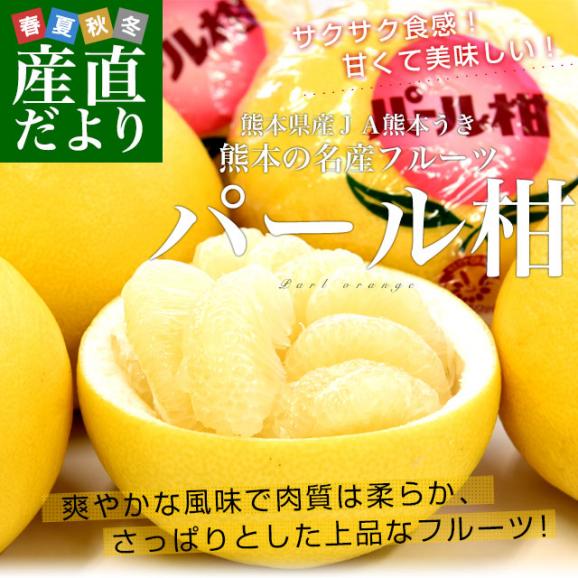 熊本県産 JA熊本うき パール柑 赤秀 10キロ 4Lから2L (14玉から18玉) 送料無料 市場発送 柑橘 ぱーるかん 宇城02