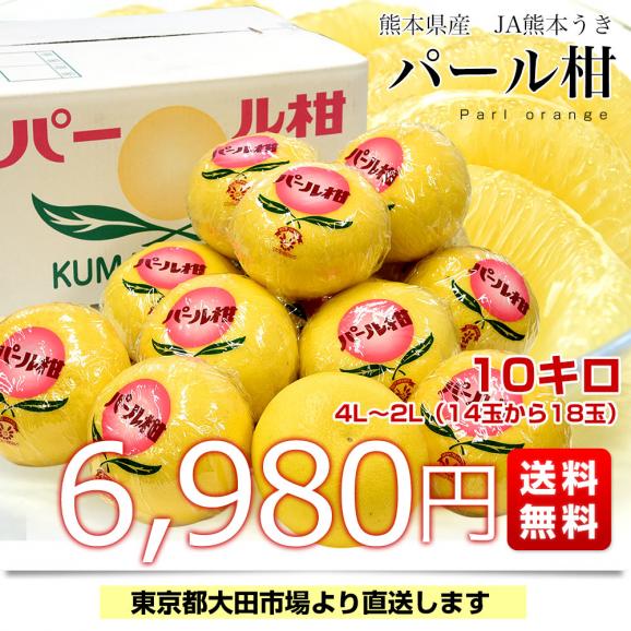 熊本県産 JA熊本うき パール柑 赤秀 10キロ 4Lから2L (14玉から18玉) 送料無料 市場発送 柑橘 ぱーるかん 宇城03
