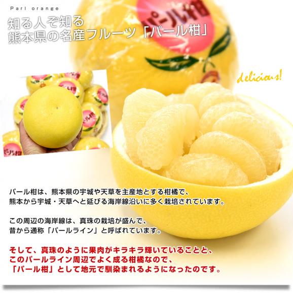 熊本県産 JA熊本うき パール柑 赤秀 10キロ 4Lから2L (14玉から18玉) 送料無料 市場発送 柑橘 ぱーるかん 宇城04