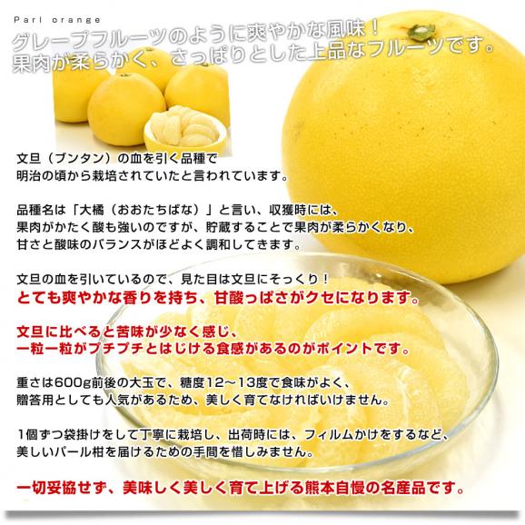 熊本県産 JA熊本うき パール柑 赤秀 10キロ 4Lから2L (14玉から18玉) 送料無料 市場発送 柑橘 ぱーるかん 宇城05