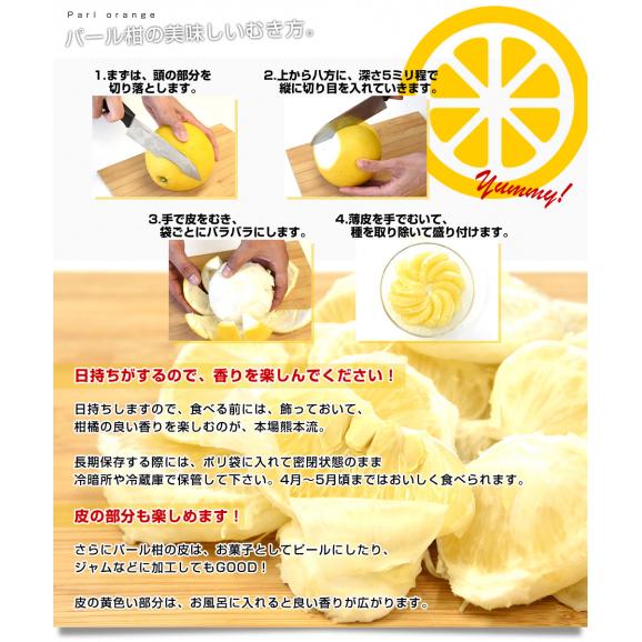 熊本県産 JA熊本うき パール柑 赤秀 10キロ 4Lから2L (14玉から18玉) 送料無料 市場発送 柑橘 ぱーるかん 宇城06