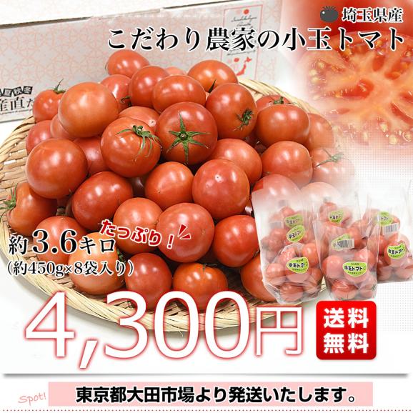 埼玉県産 こだわり農家の小玉トマト 約3.6キロ（約450g×8袋入） 送料無料 春トマト とまと 市場発送03