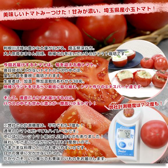 埼玉県産 こだわり農家の小玉トマト 約3.6キロ（約450g×8袋入） 送料無料 春トマト とまと 市場発送04