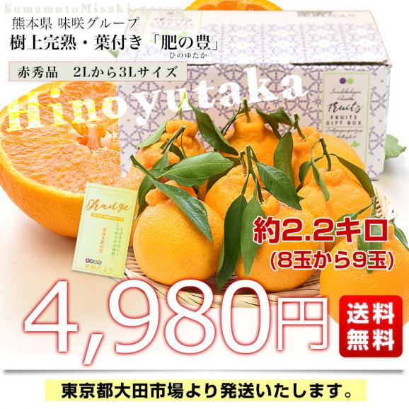 熊本県味咲グループ 樹上完熟・葉付き「肥の豊（ひのゆたか）」赤秀品 2Lから3Lサイズ 約2.2キロ（8玉から9玉前後）不知火 しらぬひ 柑橘 市場発送03