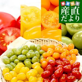 和歌山産 フルーツミニトマト ”キャロルセブン” 約2kg【予約 11 和歌山産 フルーツミニトマト ”キャロルセブン” 約2kg【予約 11