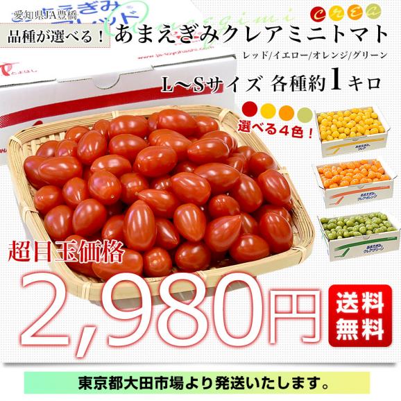 愛知県 JA豊橋  選べるあまえぎみクレアミニトマト 各種約1キロ（レッド、イエロー、オレンジ、グリーン） 送料無料 ミニトマト とまと 高糖度ミニトマト 甘恵黄味03