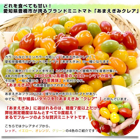 愛知県 JA豊橋  選べるあまえぎみクレアミニトマト 各種約1キロ（レッド、イエロー、オレンジ、グリーン） 送料無料 ミニトマト とまと 高糖度ミニトマト 甘恵黄味04